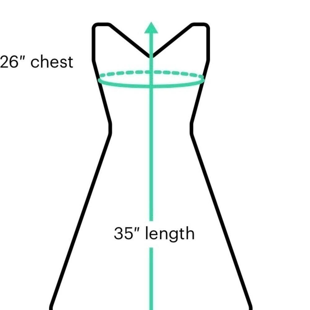 T5. Revelry Ruffle dress sm. - Picture 6 of 6